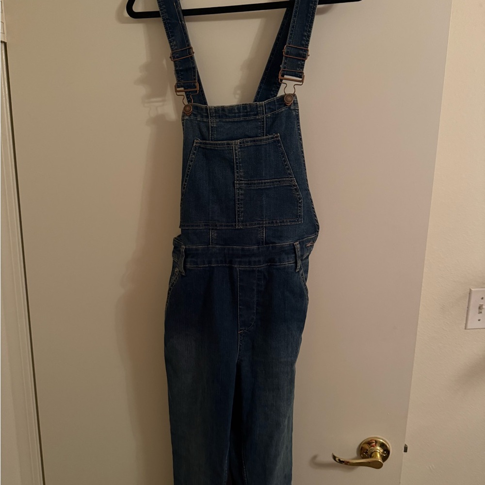 Free People Dark Blue Denim Overalls